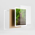 Plakat w ramie 40x50 - Magia Leśnej Ścieżki - ścieżka, w lesie - rama biała