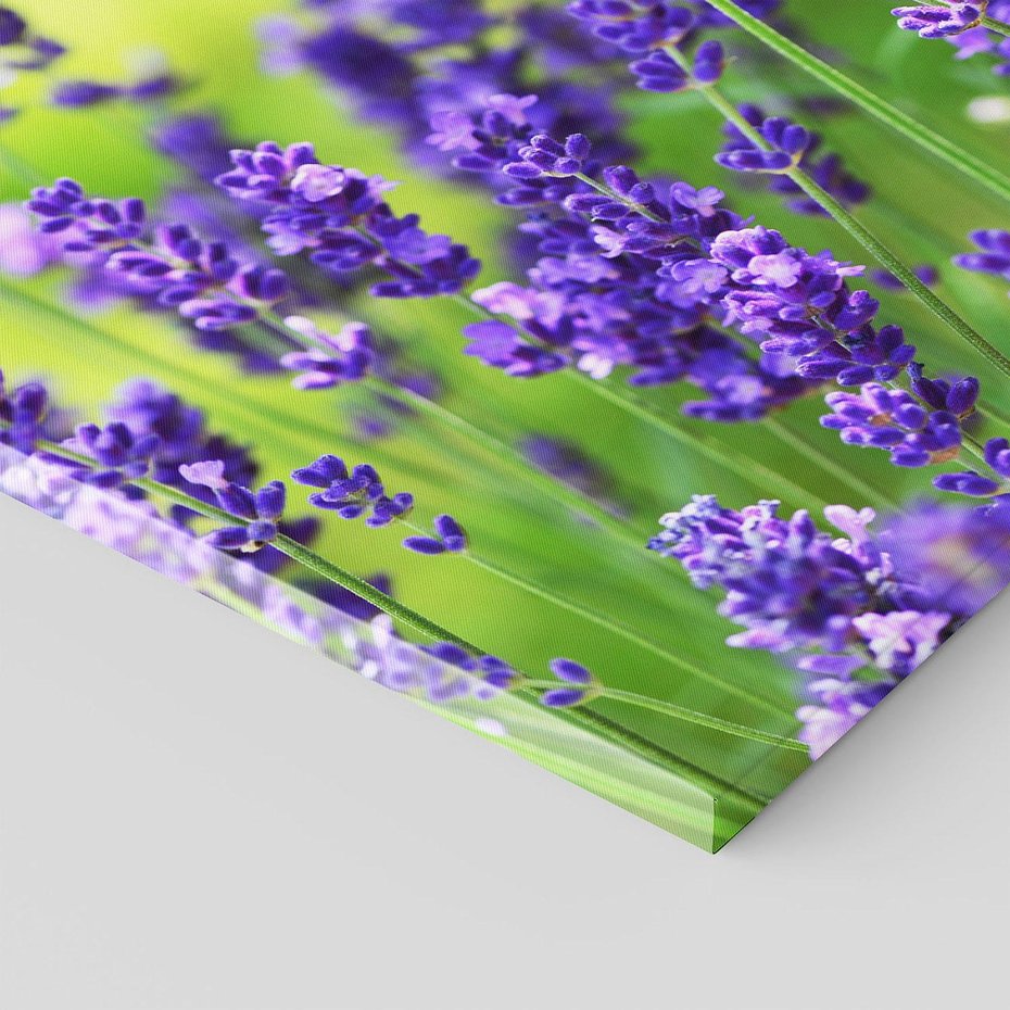 Obraz na płótnie 120x80 - Elegancka lawenda w pełnym rozkwicie - lawenda, kwiaty