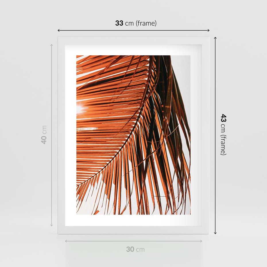 Plakat w ramie 30x40 - Słońce na Palmie - palma, promienie słońca - rama biała