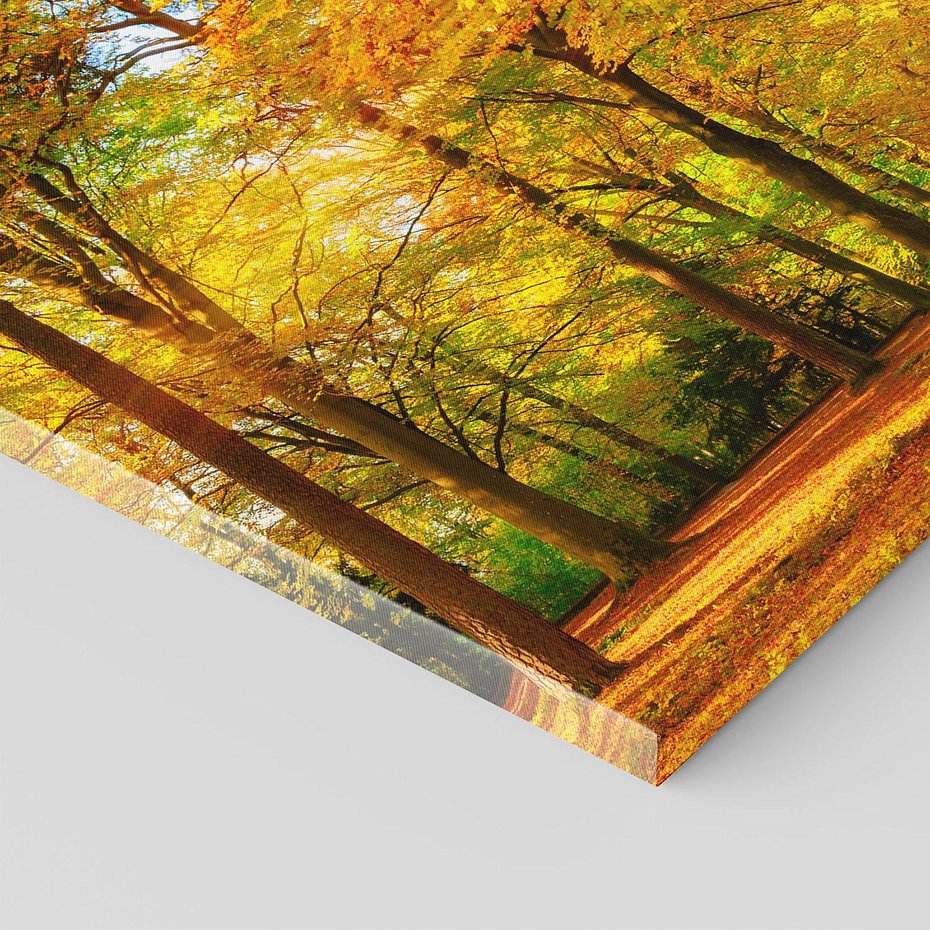 Obraz na płótnie 40x40 - Urok jesiennego lasu - las, drzewa