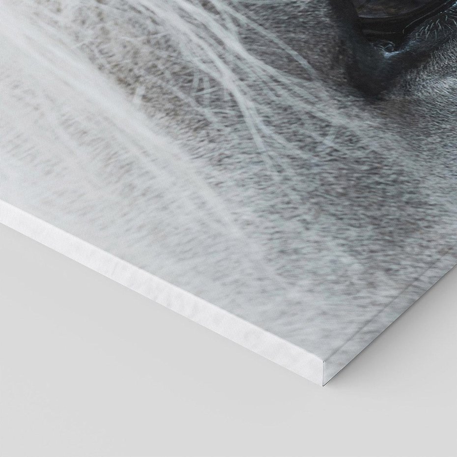 Obraz na płótnie 100x50 - Oko Mocy - czarno białe zdjęcie, zbliżenie makro na oko konia