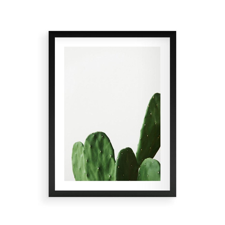 Plakat w ramie 30x40 - Minimalizm Natury - kaktus, zbliżenie - rama czarna