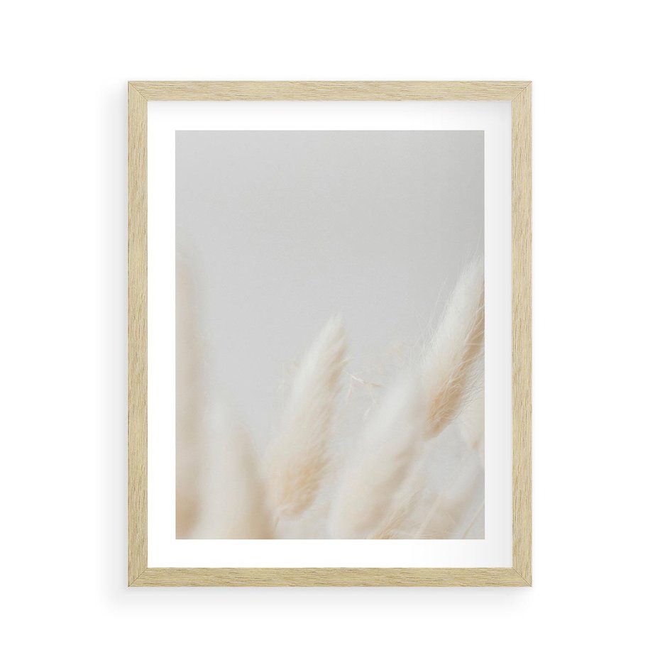 Plakat w ramie 40x50 - Biały Spokój - białe trawy, suche trawy pampas - rama drewno