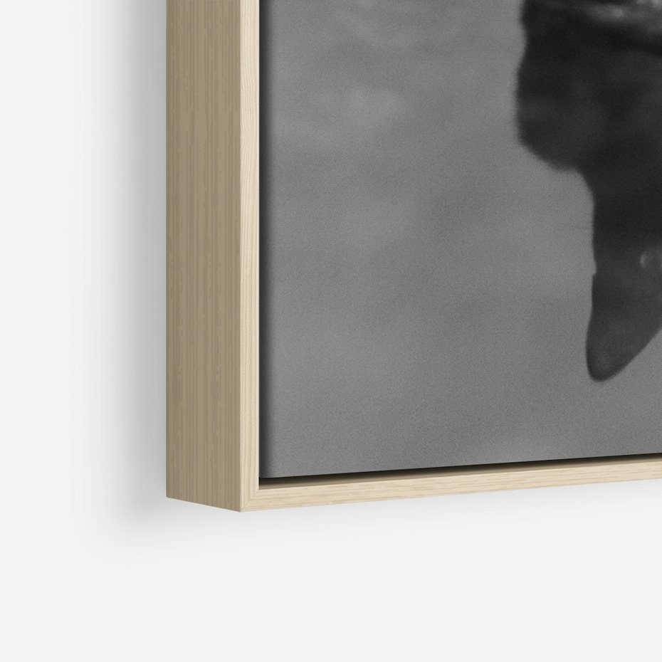 Obraz w ramie 50x70 - Kocie Oczy - kot, czarno białe zdjęcie - rama drewno