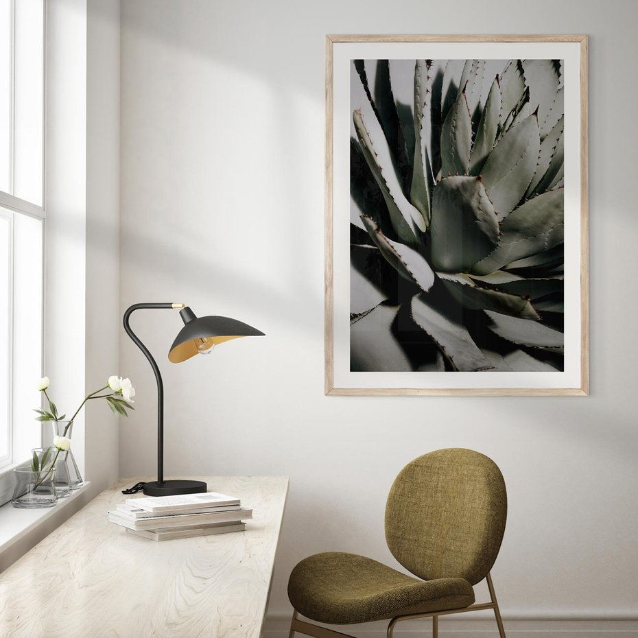 Plakat w ramie 50x70 - Egzotyczny Raj - sukulenty, kaktusy - rama drewno
