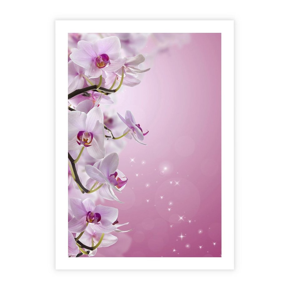 Plakat bez ramy 40x50 - Relaksujące Piękno - kwiaty, orchidea