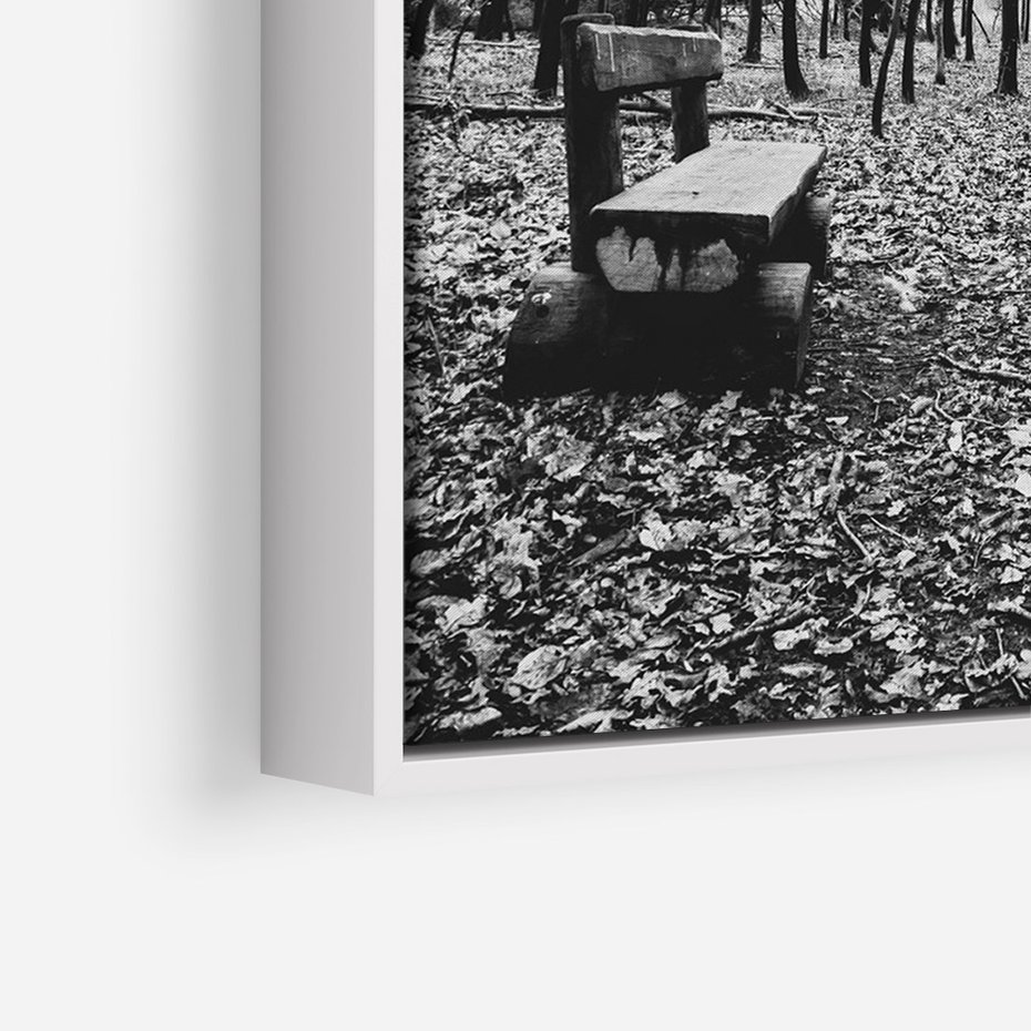 Obraz w ramie 50x70 - Spadające Liście - czarno białe zdjecie, park - rama biała