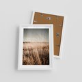 Plakat w ramie 30x40 - Sucha Trawa w Odcieniach Sepii - suche trawy, łąka odcienie beżu - rama biała