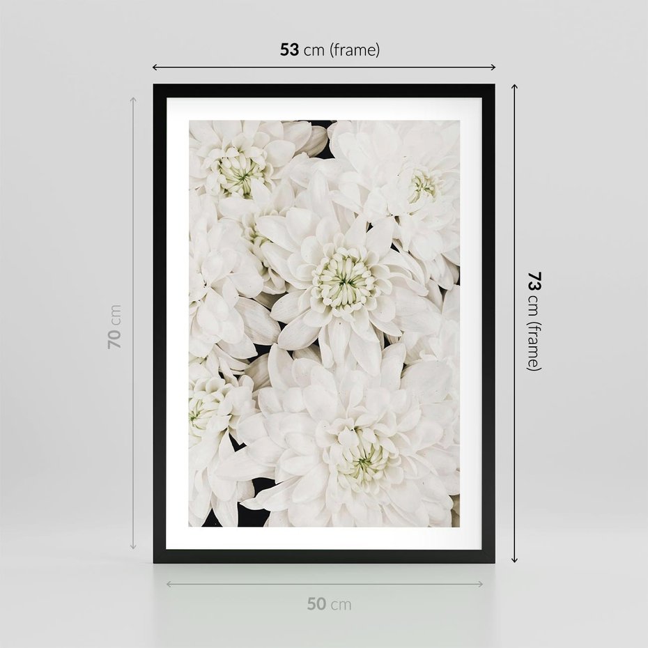 Plakat w ramie 50x70 - Białe Kwiaty: Płatki Delikatności - białe kwiaty, zbliżenie - rama czarna