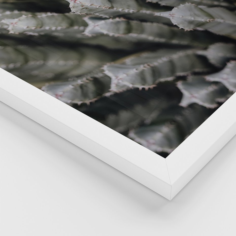 Zestaw obrazy w ramie 40x50 galeria - Kaktusy, pustynia, boho - rama biała