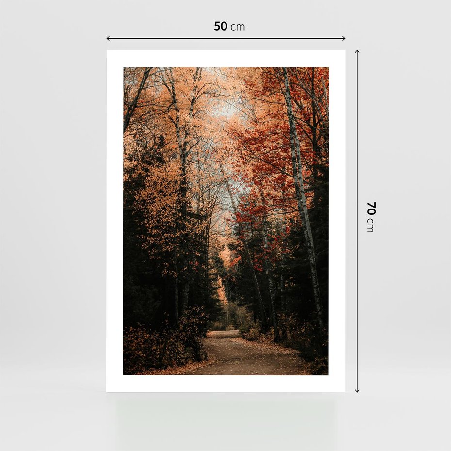 Plakat bez ramy 50x70 - Drzewa w Czerwonych Liściach - las, jesienny las