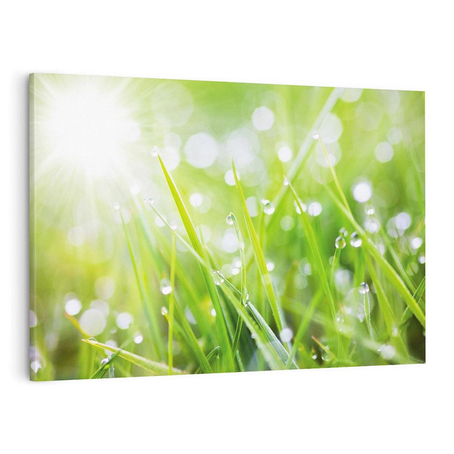 Obraz na płótnie 100x70 - Delikatna trawa pokryta rosą - trawa, rosa