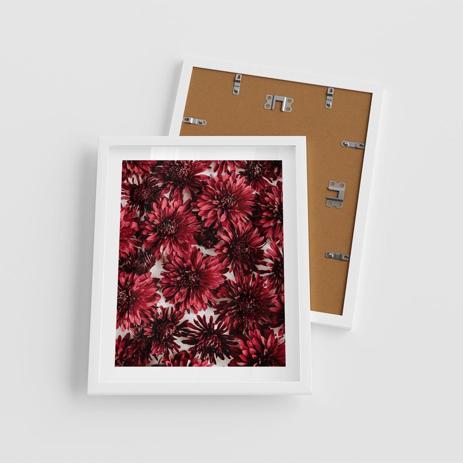 Plakat w ramie 40x50 - Energia Kwiatów - czerwone kwiaty, kompozycja - rama biała