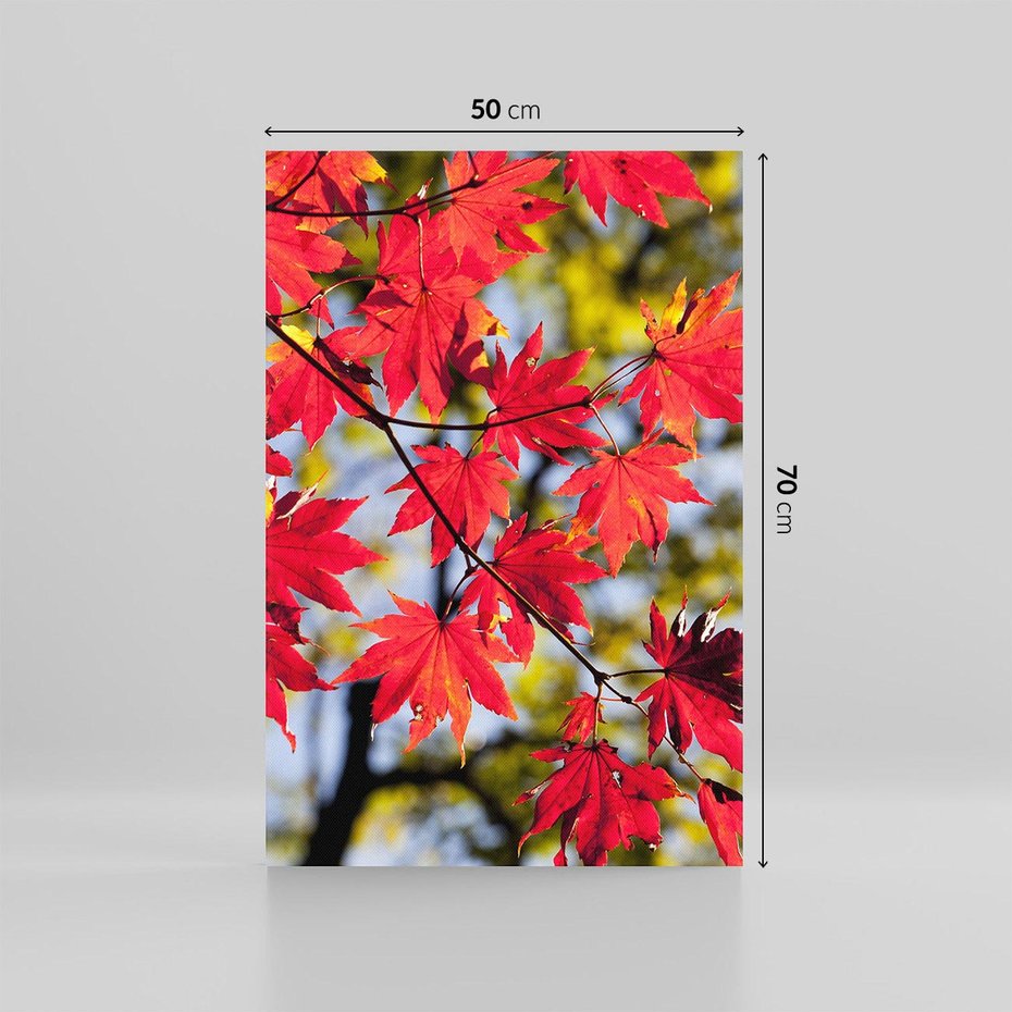 Obraz na płótnie 50x70 - Jesienny Urok Drzewa i Opadających Liści - drzewo, liście