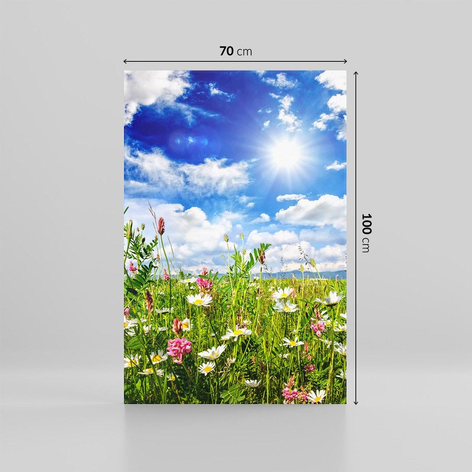 Obraz na płótnie 70x100 - Niebiańska łąka pełna kwiatów - łąka, niebo