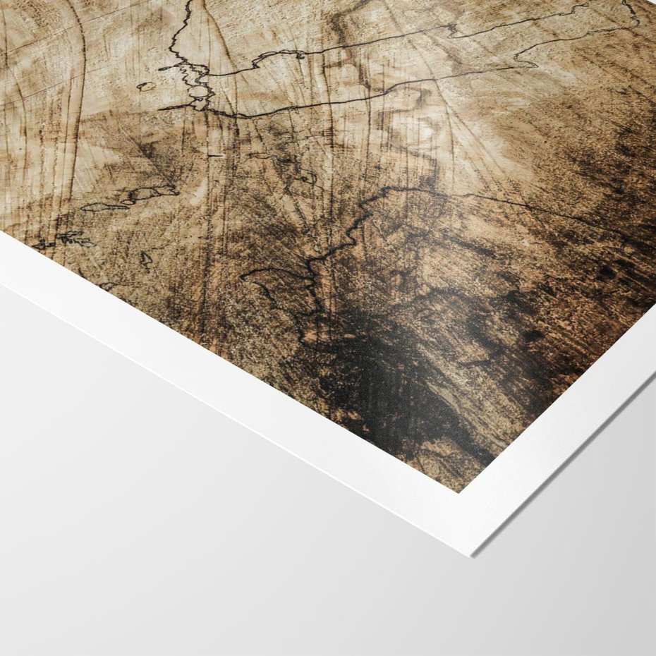 Plakat bez ramy 21x30 - Słoje Natury - słoje drzewa, pieńdrzewa