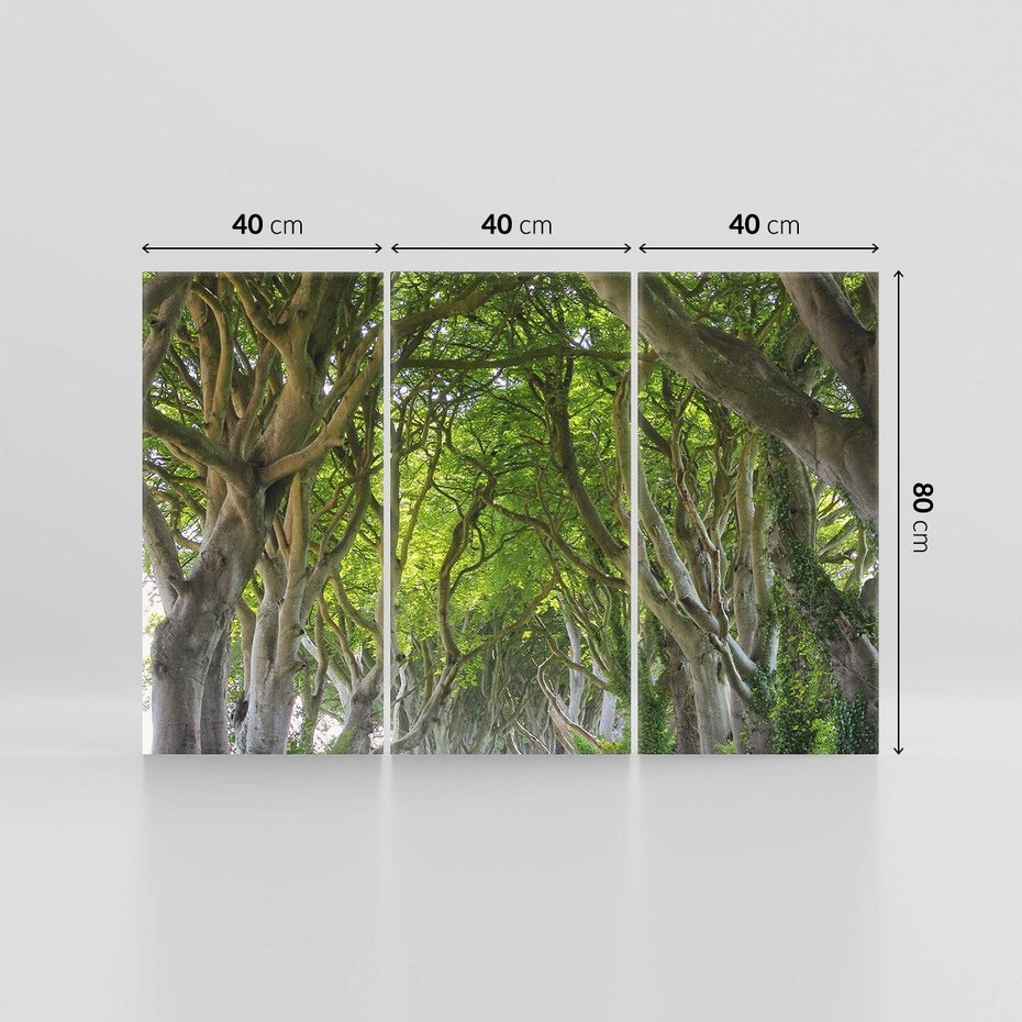 Obraz na płótnie 120x80 - Magiczny Las - drzewa, las