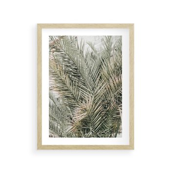 Plakat w ramie 40x50 - Egzotyczny Świat Palm - palmy, liście palmy - rama drewno