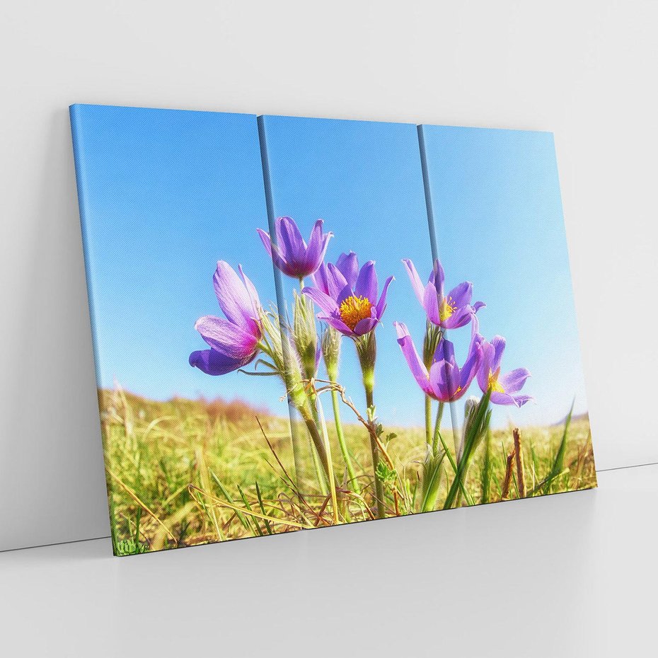 Obraz na płótnie 120x80 - Kwiatowa siła łąki - kwiaty, łąka