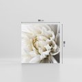 Obraz na płótnie 50x50 - Białe Kwiaty Delikatności - białe, kwiaty