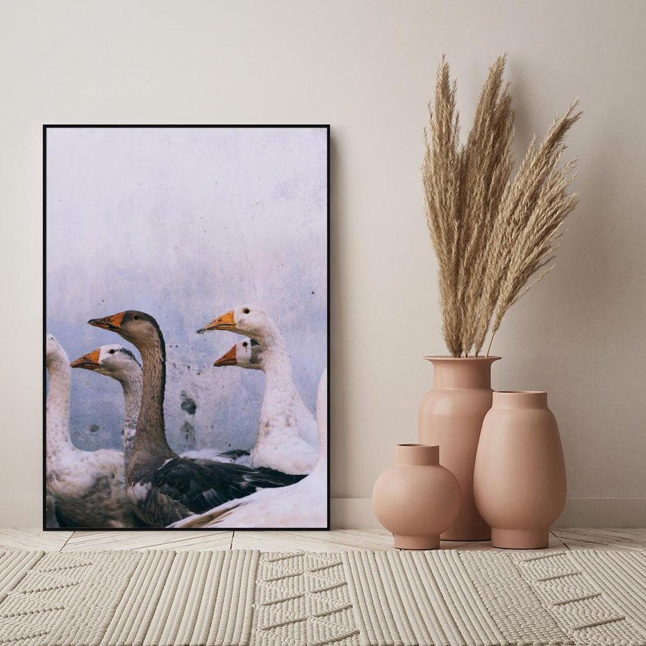 Obraz w ramie 70x100 - Spotkanie Wśród Piór - uchwycony moment, fotografia - rama czarna