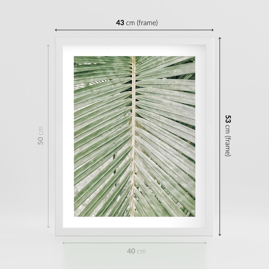 Plakat w ramie 40x50 - Jasna Zieleń Palmy - liść palmy, zbliżenie - rama biała