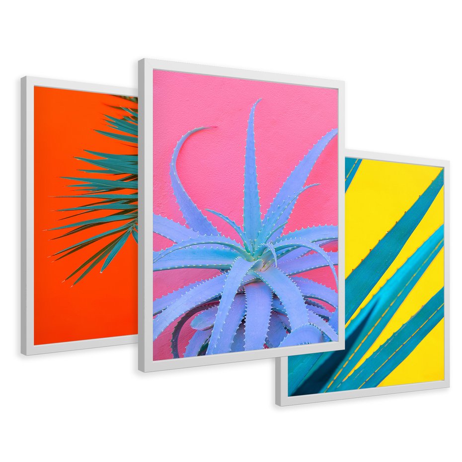 Zestaw obrazy w ramie 50x70 galeria - Liście, rośliny, aloes, neonowe - rama biała