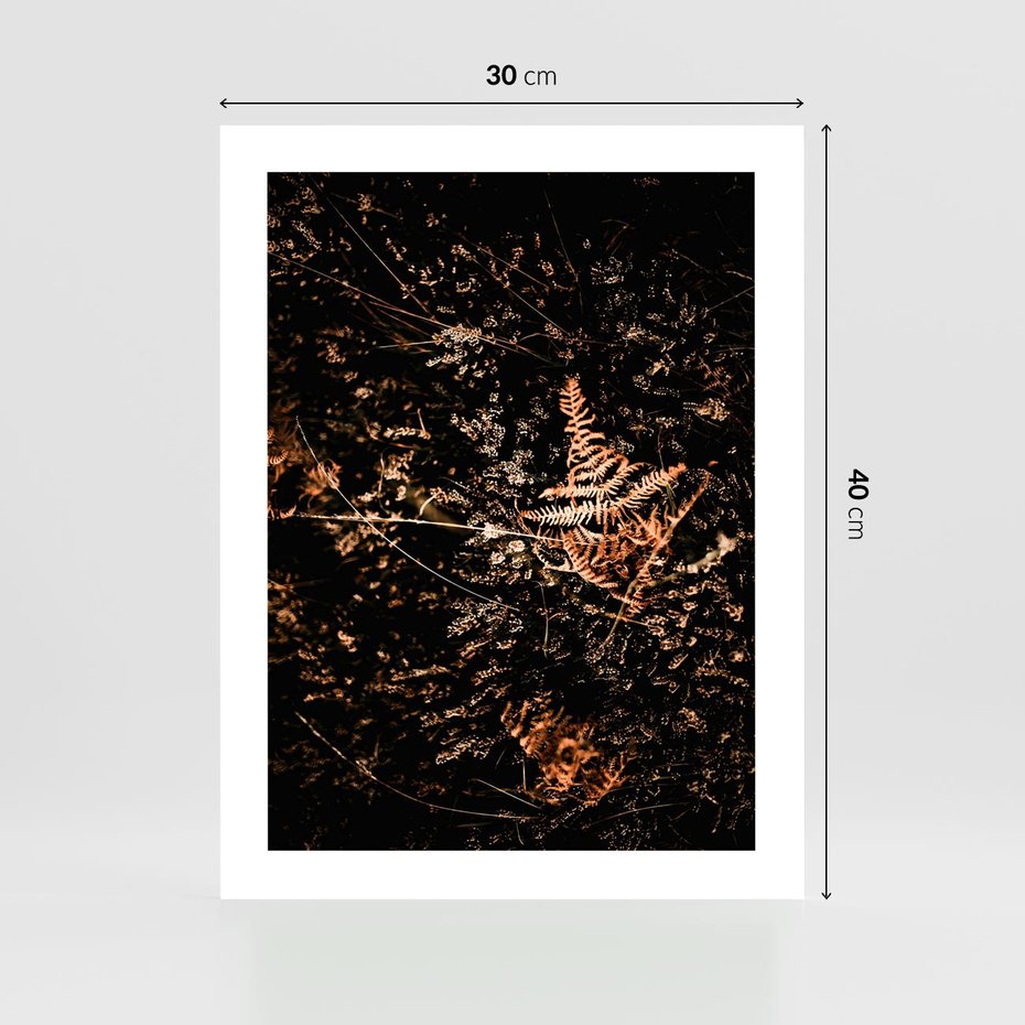 Plakat bez ramy 30x40 - Jesienna Melodia - suche trawy, paprocie