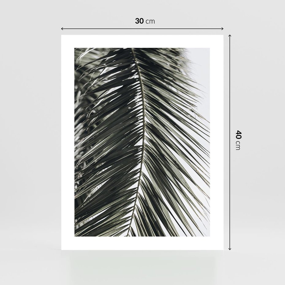 Plakat bez ramy 30x40 - Liść Palmy: Egzotyczny Detal Natury - palma, liść palmy