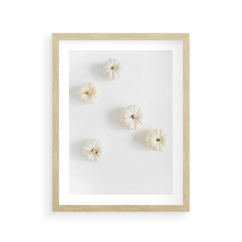 Plakat w ramie 30x40 - Biała Jesień: Dynie na Jasnym Tle - białe dynie, białe tło - rama drewno