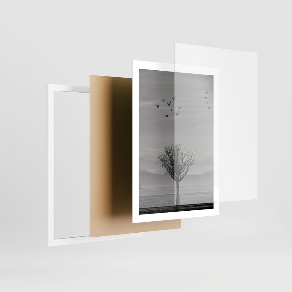 Plakat w ramie 50x70 - Samotne Drzewo - samotne drzewo w polu, czarno białe zdjęcie - rama biała