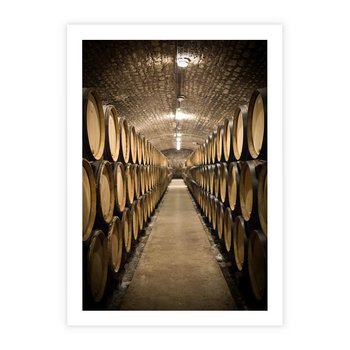 Plakat bez ramy 50x70 - Winniczka - winnica, beczki