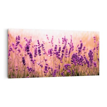 Obraz na płótnie 120x60 - Lawenda: Pachnące pole kwiatów - kwiaty, lawenda