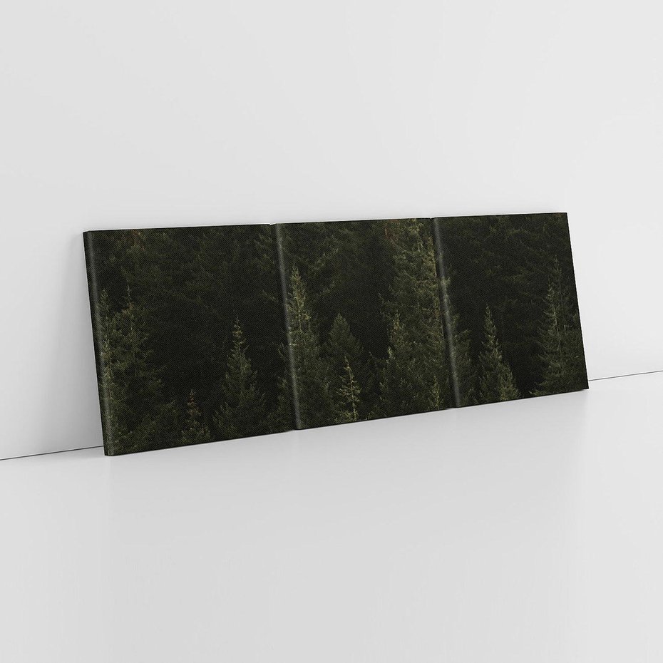 Obraz na płótnie 150x50 - Ciemny las iglasty - las, iglasty