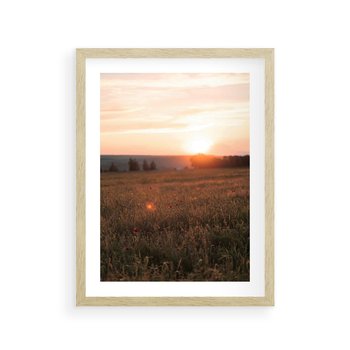 Plakat w ramie 40x50 - Łąka we Wschodzącym Słońcu: Magia Poranka - łąka, krajobraz - rama drewno