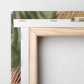 Obraz na płótnie 80x80 - Monstera Liście Kwiat - monstera, liście