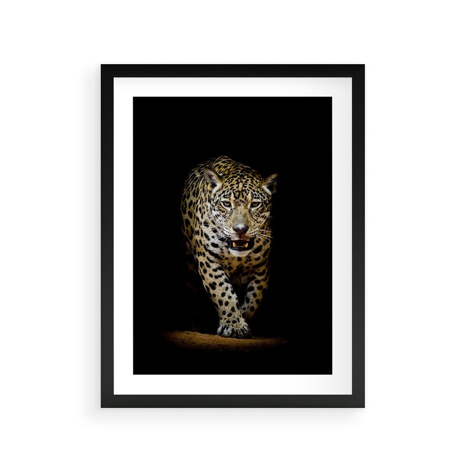Plakat w ramie 30x40 - Elegancja lamparta - lampart, pantera - rama czarna