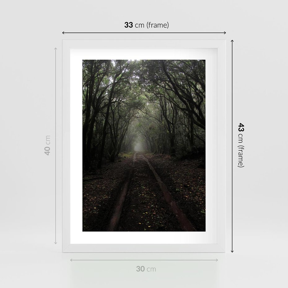 Plakat w ramie 30x40 - Urok Drogi - las, droga - rama biała