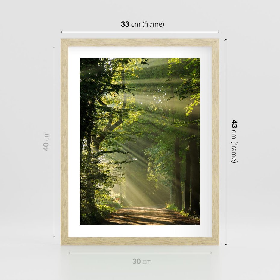 Plakat w ramie 30x40 - harmonia natury - las, drzewa - rama drewno