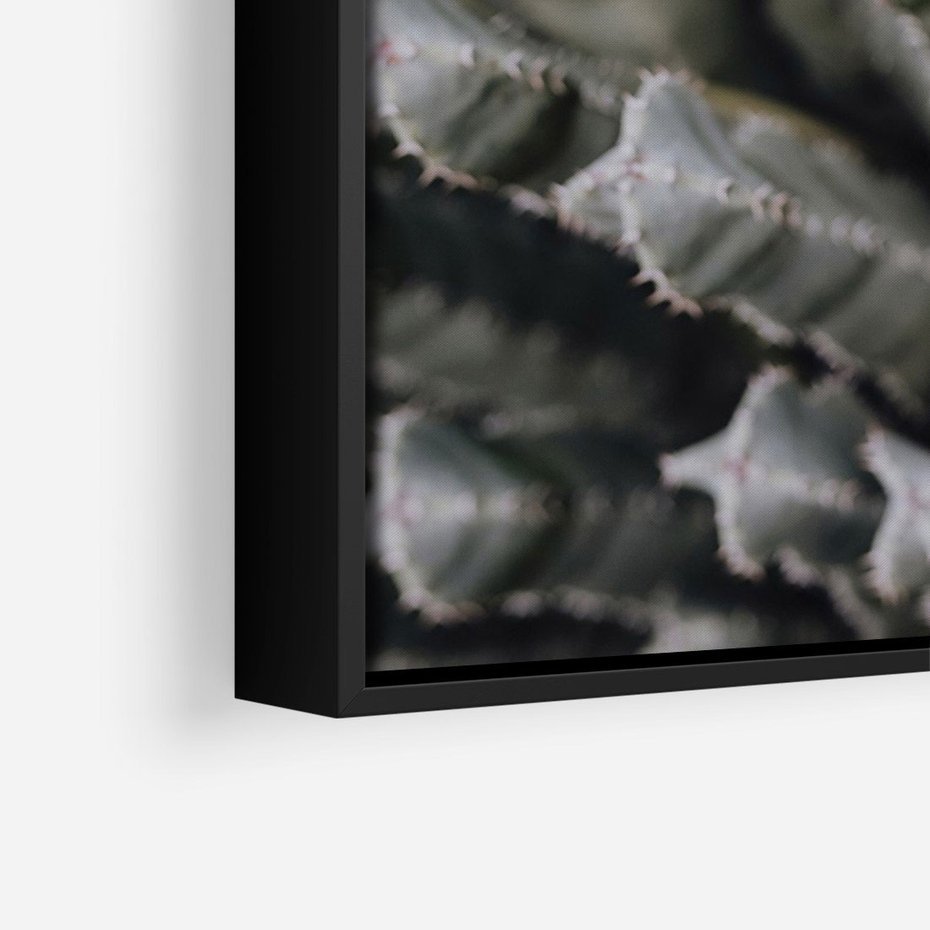 Obraz w ramie 50x70 - Boho kaktusy na pustyni - kaktusy, pustynia - rama czarna