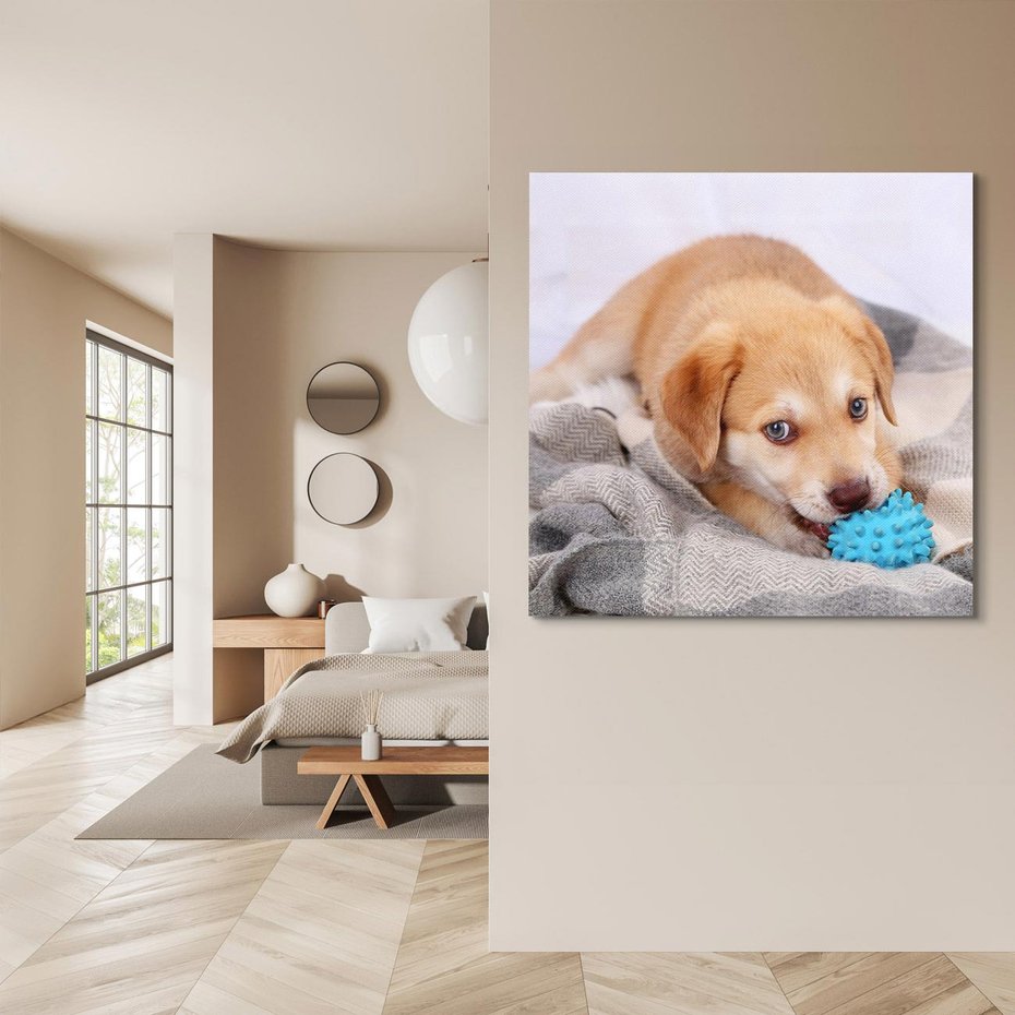 Obraz na płótnie 40x40 - Radość w zabawie: Piesek jako najlepszy przyjaciel - pies, piesek