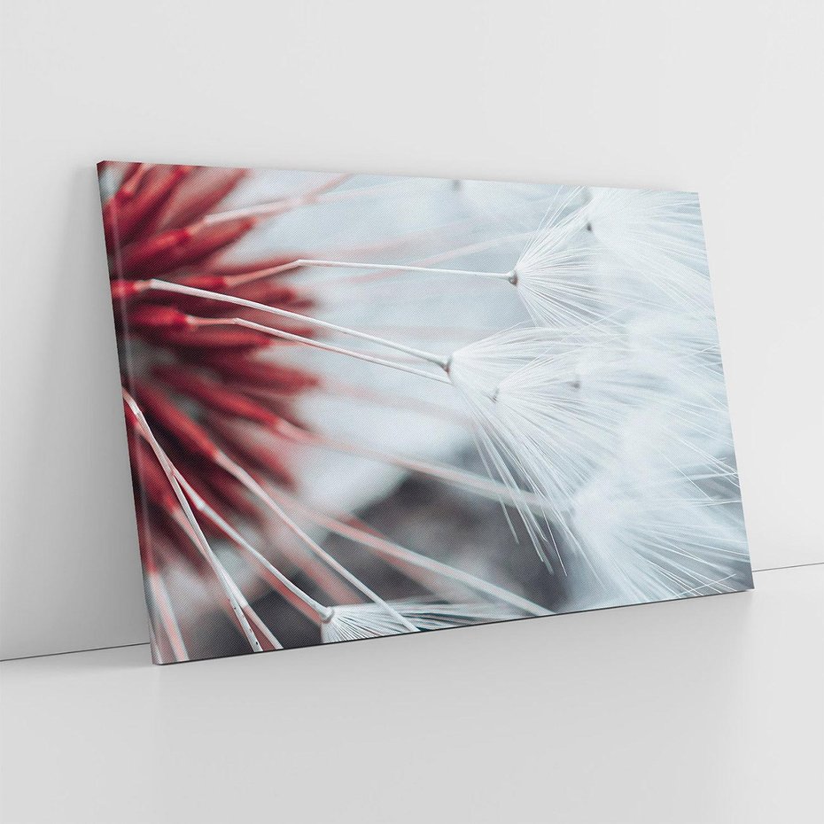 Obraz na płótnie 120x80 - Makro świat dmuchawca - dmuchawiec, makro