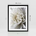 Plakat w ramie 30x40 - Białe Kwiaty Delikatności - białe, kwiaty - rama czarna
