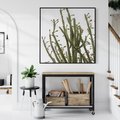 Obraz w ramie 50x50 - Ekskluzywna Roślinność - kaktusy, liście - rama czarna