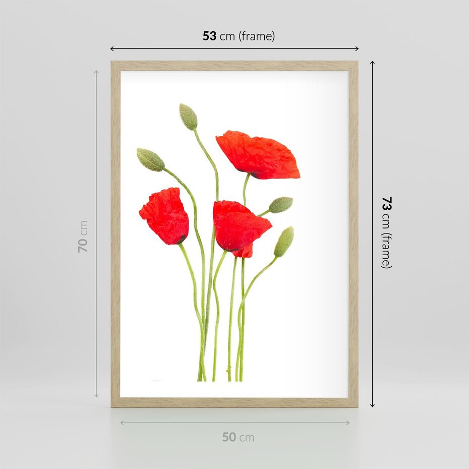 Plakat w ramie 50x70 - Pola maków w pełnym kolorze - maki, kwiaty - rama drewno