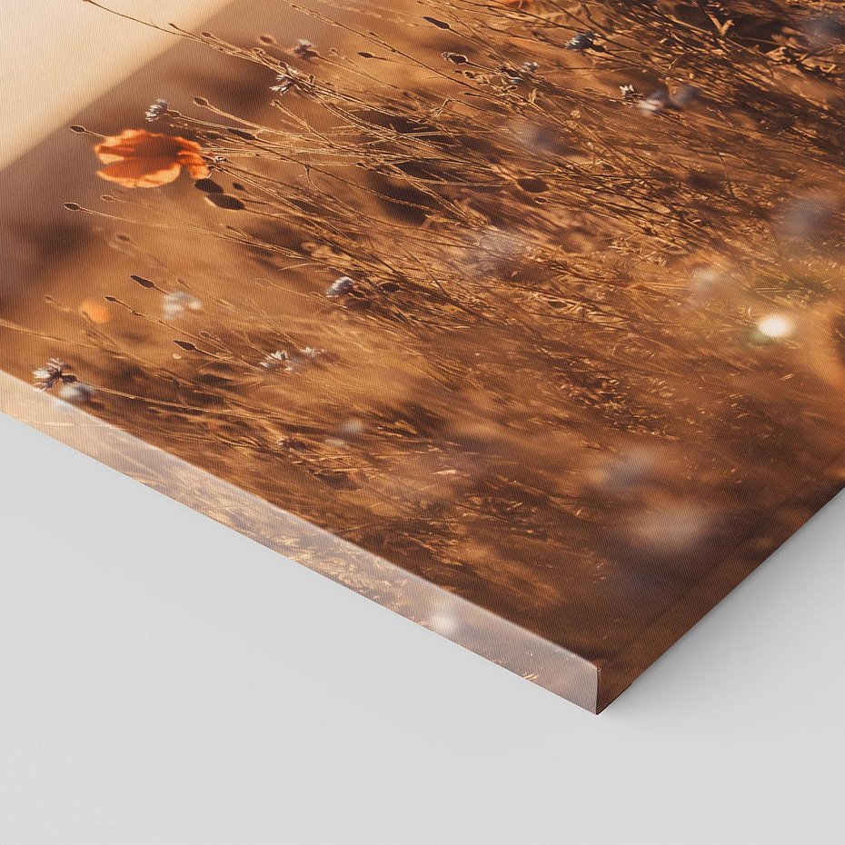 Obraz na płótnie 40x40 - Zachwyt zachodem słońca na łące - zachód, słońca