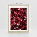 Plakat w ramie 30x40 - Energia Kwiatów - czerwone kwiaty, kompozycja - rama drewno