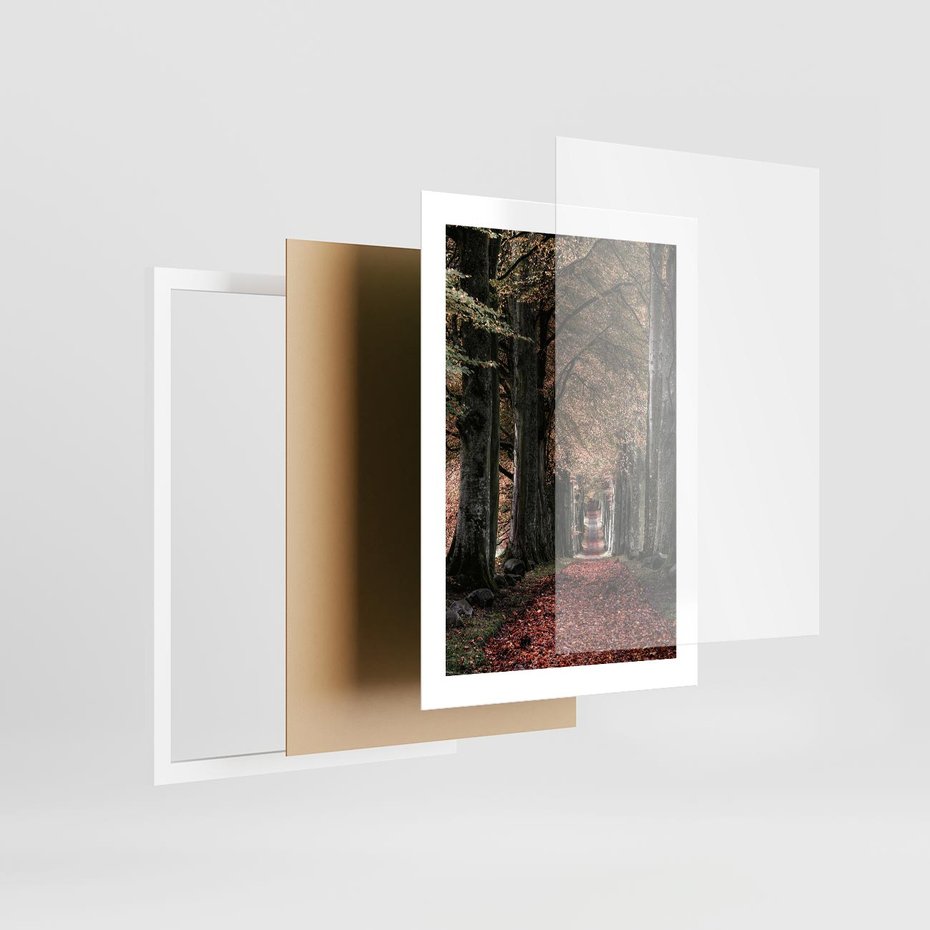 Plakat w ramie 30x40 - Spacer po Leśnej Drodze - ścieżka w lesie, jesień suche liście - rama biała