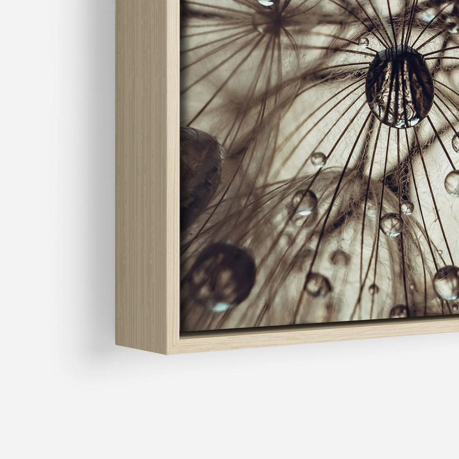 Obraz w ramie 80x80 - Lekkie dmuchawce - dmuchawce, krople - rama drewno