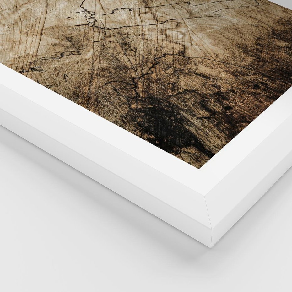 Plakat w ramie 50x70 - Słoje Natury - słoje drzewa, pieńdrzewa - rama biała